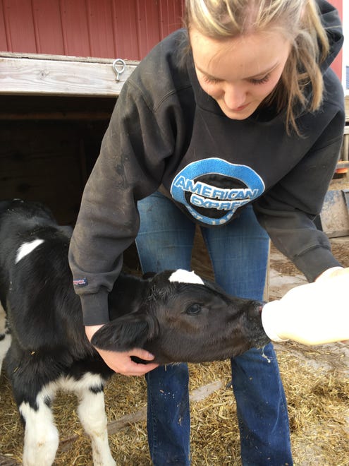 Many women are sought after by large dairy operations to raise calves and heifers, thanks to their keen observation skills and attention to detail as well as their nurturing tendencies.