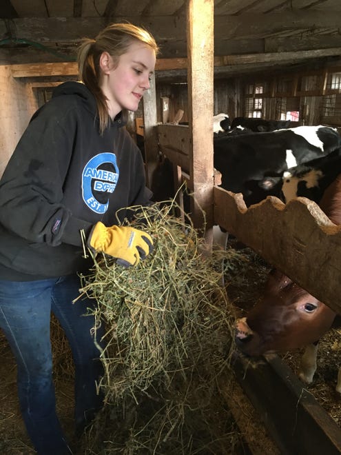 Once relegated to feeding calves, more and more women are stepping into leading roles in the dairy industry. NWTC student Sara Kroll plans to have a role in all phases of the herd's life: from breeding, to raising and helping with management decisions.