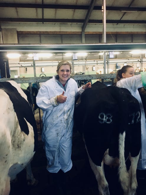 Micheala Slind studied abroad in the Netherlands, visiting this dairy herd in Wageningen.