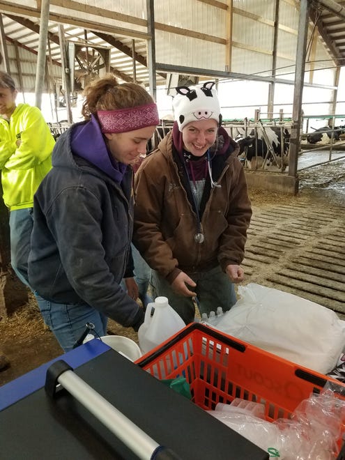 Taylor Klein and Henriet Jurjens (right) collect and analyze milk samples for high somatic cell counts using a QScout Milk Analyzer as part of the Animal Health course.