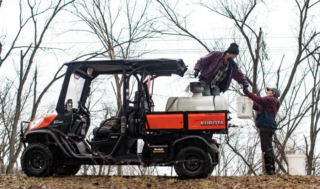 Abigail Barten, right, trail coordinator, and Gabe Anderson, trail builder, load raw maple syrup into a tank on March 16, 2023, at Indian Creek Nature Center in Cedar Rapids, Iowa.