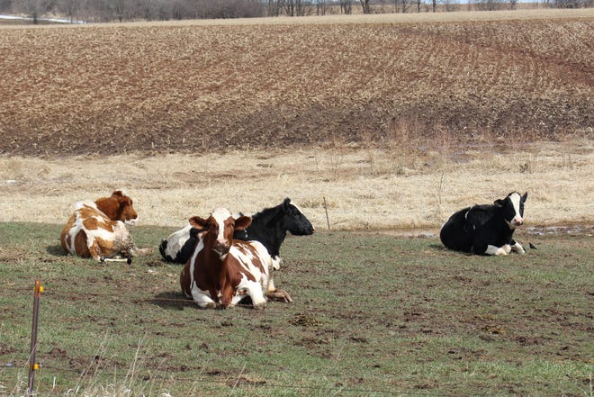 A proposed bill that would bar local governments from enacting certain local regulations of animal facilities in areas primarily used for farming unless there’s a substantial threat to public health or safety was vetoed by Gov. Tony Evers despite having the support from over a dozen agricultural and veterinary groups.