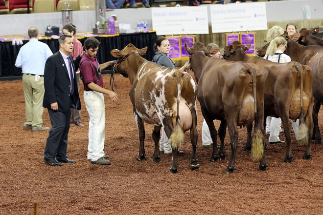 After months of considering a Plan B, World Dairy Expo officials announced the global event is staying put in Madison.