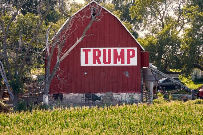 FILE - In this July 24, 2018 file photo, corn grows in front of a barn carrying a large Trump sign in rural Ashland, Neb. The Trump administration is following through on a plan to allow year-round sales of gasoline mixed with 15% ethanol. The Environmental Protection Agency announced the change Friday, May 31, 2019, ending a summertime ban imposed out of concerns for increased smog from the higher ethanol blend. The change also fulfills a pledge that President Donald Trump made to U.S. corn farmers to allow the higher ethanol sales year-round.