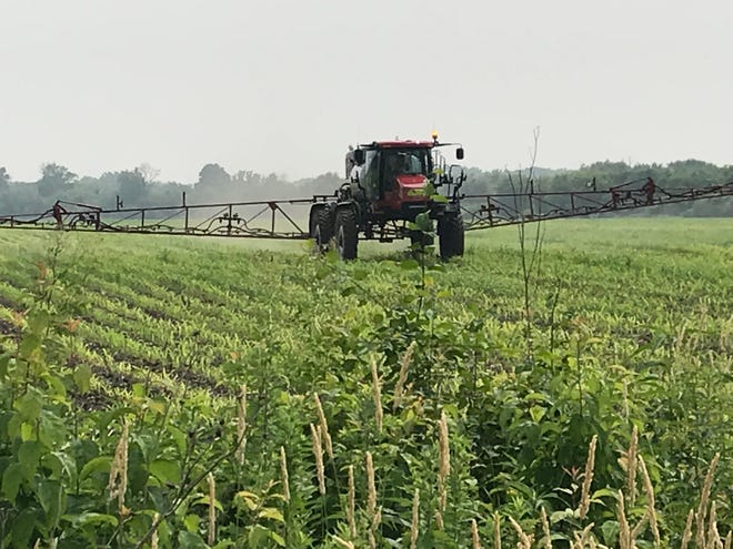All the newer herbicide products for 2020 are simply new premixes or revised formulations of existing active ingredients.