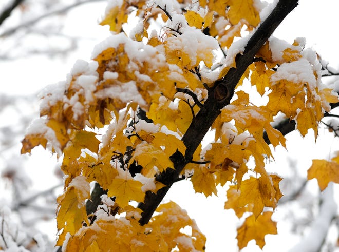 Scenes of snowfall from Monday night on Tuesday, Oct. 29, 2019, in Green Bay, Wis. Ebony Cox/USA TODAY NETWORK-Wisconsin
