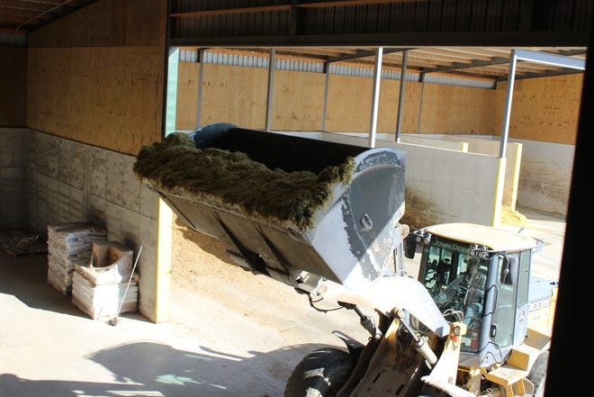A payloader brings a load of forage into the Feed Center at Vir-Clar Farms.