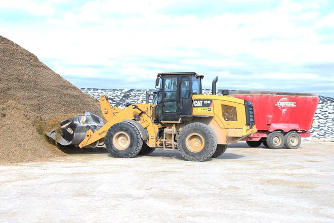An employee scoops up a load of corn silage on the feed pad at Second Look Holsteins.