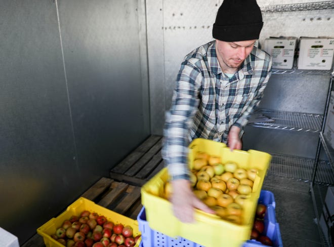Bryan Bjorklund, program associate, stacks trays of apples grown at Buffalo Ridge Orchard in Central City before they are distributed to a nursing home at the Food Hub in Iowa City on Thursday, Oct. 17, 2019. The hub acts as a broker between small-scale farms looking to fill gaps in the local market, such as local schools or nursing homes who want to serve fresh produce.