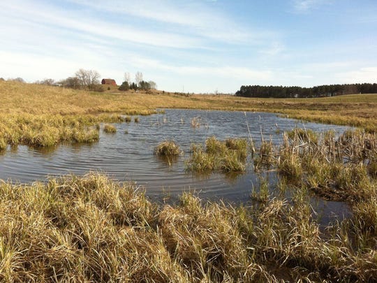 Isolated wetlands such as this shallow, seasonal pond on a farm in St. Croix County are no longer protected under federal rules established Thursday by the Environmental Protection Agency.