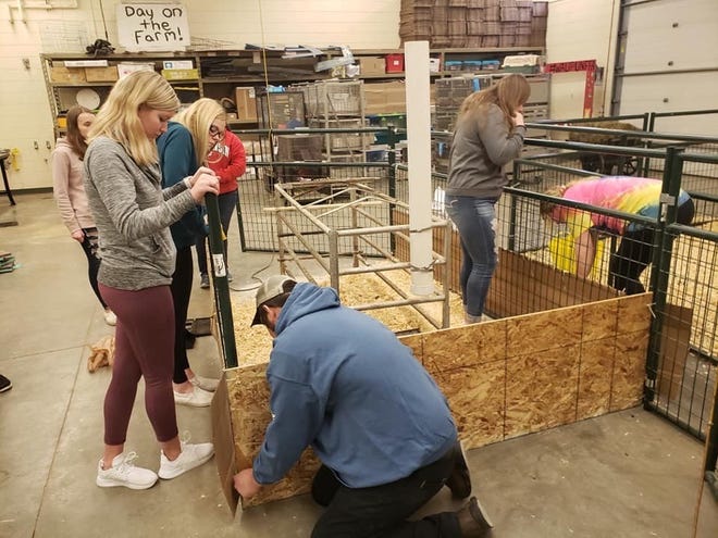 Jason Ganske, foreground, helps members of the Waupun High School Large Animal Science class assemble the pen where Norah Ganske's sow will reside until delivering her litter of piglets.