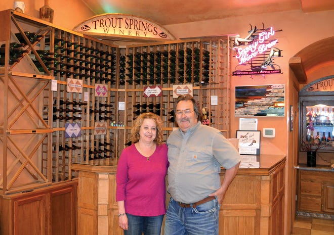 Owners Steve and Andrea DeBaker started Trout Springs Winery in 1995 and believe that by creating diversity at their farm will give them more opportunity to succeed.