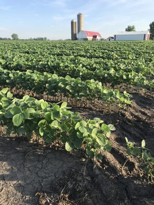 Researchers say erosion has reduced corn and soybean yields by 6%, leading to nearly $3B in annual economic losses for farmers across the Midwest.