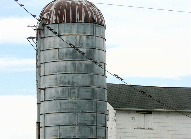 A few steel silos were used during the heyday of silo building.