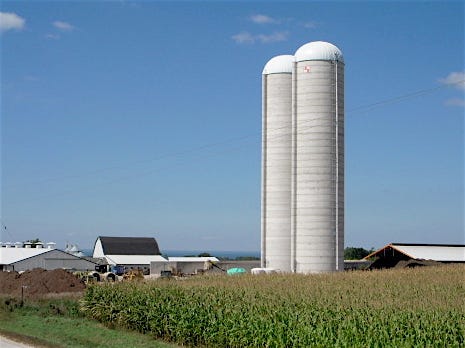 These two 30 by 132 foot poured concrete silos at the Lavey Dairy near Malone are the state’s tallest farm silos.