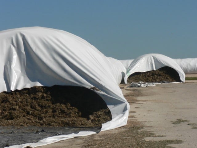 The plastic silage bag has found popularity in recent years.