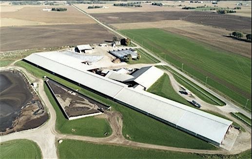 An ariel view of Lakeview Dairy at Fox Lake, which is being auctioned off in November 2020.