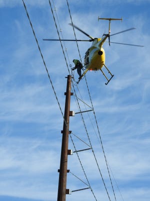 Diverters placed on high voltage transmission lines help to increase visibility of the wires and help protect birds from contacting the transmission lines while in flight.
