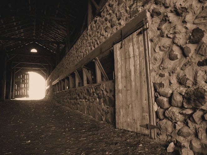 Another unique feature of the barn is the half stone wall that separates the threshing area from the stable area. It was also used as a porthole to pass feed through. Feed was dropped over the edge of the loft and then pushed by hand through the wooden hinged doors into the stable area on the other side.
